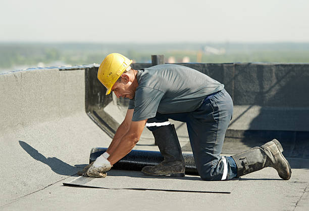 Best Cellulose Insulation in Fort Mckinley, OH