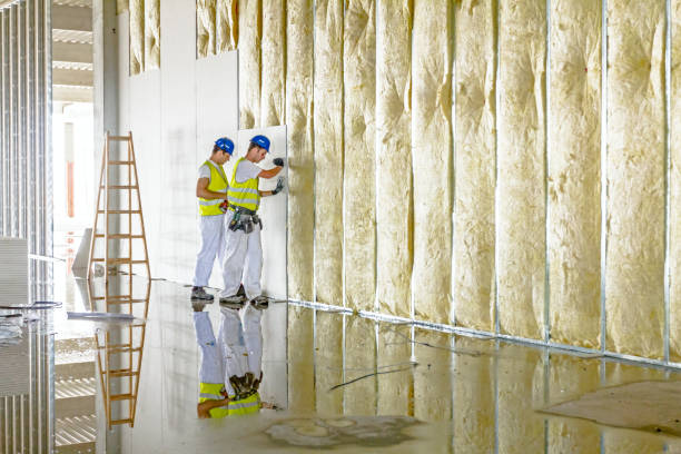 Best Specialized Insulation Services in Fort Mckinley, OH